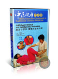 TCM Ankle Sprain and Lumbar Disc Protrusion Massage by Prof. Wang Hualan DVD