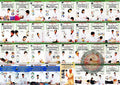 Traditional Chinese Medicine Clinical Therapy and Healing Complete 32-DVD Set