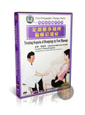 Foot Holographic Hemiplegy Stroke Recovery Massage by Zhang Dongping DVD