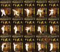 Taiji Mantis Boxing Master Collection by Sun De & Sun Zhibin 23-DVD Complete Set