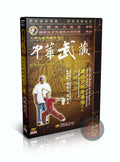 Shaolin Double Broadswords Cutting Horse Saber Routine by Liu Baoshan Pro DVD