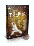 Shaolin Meteor Hammer Hidden Weapon Technical Routine Chen Tongshan 2DVDs Set