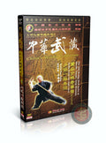 Shaolin Single Crutch Routine One Dan Zhang Weapon Form Wang Haiying DVD