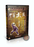 Shaolin 24-Posture Arhat Boxing Foundation Technical Routine Chen Junjie DVD