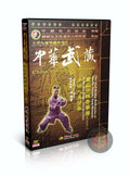 Shaolin Da Tongbei Boxing Large Through-the-Back Form by Yan Zhijun DVD