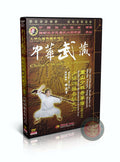 Shaolin Spring and Autumn Falchion Routine 4 by Master Shi Yanlu Wushu DVD