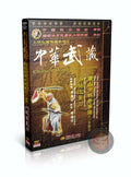 Shaolin Meteor Broadsword Liu Xing Dao by Master Wu Nanfang DVD Tutorial Form