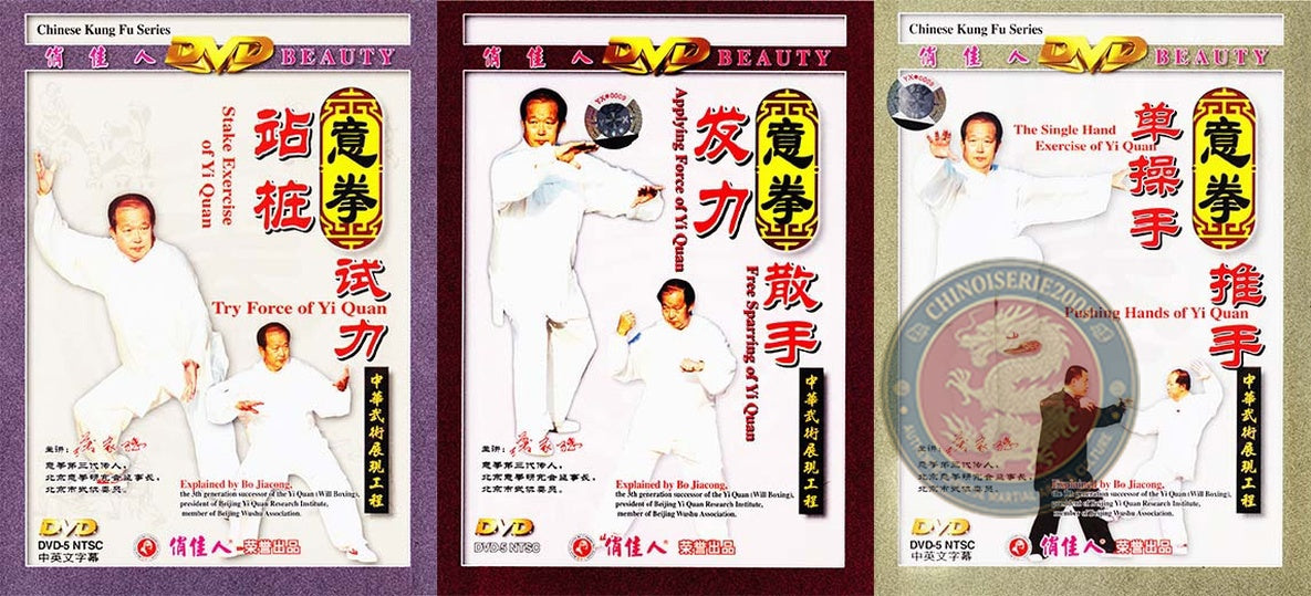 YiQuan Kung Fu Complete Training Course by Master Bo Jiacong 3-DVD Box Set