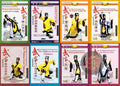 Wudang Esoteric Kung Fu Complete Collection 10 DVDs by Master You Xuande Guide
