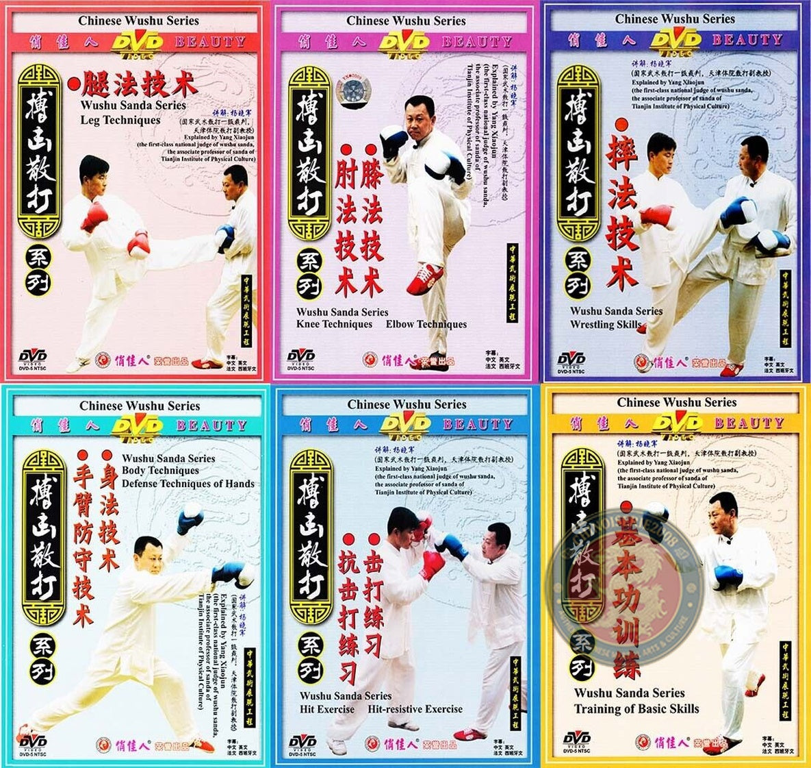 Wushu Sanda Complete Combat Training 8 DVDs by Yang Xiaojun Sparring Guide Set