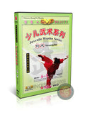 Juvenile Wushu Series Swordplay by Zhang Lihui Chinese Kung Fu Training DVD