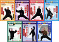 Chen Style Taijiquan Small Frame Complete 11-DVD Collection by Chen Yongfu DVD