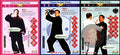 Wu Style Taijiquan Complete 4-DVD Collection by Master Qiao Songmao Guide DVD