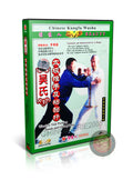 Wu Style Taiji Pushing Hands and Gluing Poles by Master Li Bingci DVD Guide