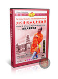 Shaolin Nanyuan Big Tongbeiquan Routine II by Master Shi Deyang Training DVD