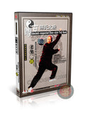 Chen Style Taijiquan Old Frame Routine II by Master Chen Qingzhou DVD Guide