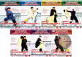 Chen Style Taijiquan Combat & Overwhelming Skills 8DVD Collection by Chen Erhu