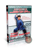 Chen Style Taijiquan Single Basic Combat Skills by Master Chen Erhu 2DVD Guide