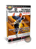 Shaolin Linking Hands and Short Hitting Combat Technical Routine Training DVD