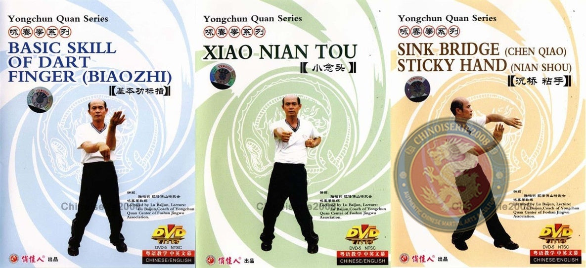 Traditional Wing Chun Kung Fu 3-DVD Set by Master Lu Baijun Instruction DVD