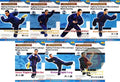 Wan Laisheng Wushu Secret & Overt Fighting 7-DVD Set by Liang Shouzhong DVD