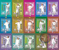 Yongchun White Crane Kung Fu & Weapons 18-DVD Set by Master Su Yinghan DVD