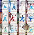 Bagua Zhang Xingyi & Weapons 12-DVD Set by Master Wu Shijun Instruction DVD