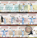 Natural Taijiquan 81 Forms & Internal Energy by Zhu Datong Complete 12-DVD Set