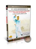 Taiji Yin-Yang Structure & Three Moves Internal Power Training DVD by Zhu Datong