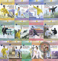 Wudang Boxing Internal Cultivation & Weapons by Yue Wu Complete 13-DVD Master Set