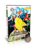 Shaolin Dahong Boxing Actual Combat Fundamental Training by Shi Deyang DVD