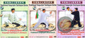 Yang Style Taijiquan 85 Forms Saber & Push Hands by Zhang Fuhua 4-DVD Set