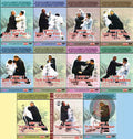 Tengnuo Huling Taichi Sudden Agile Fist & Weapons by Yuan Zhanguo 11-DVD Set