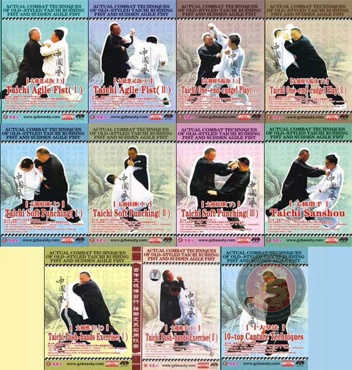 Tengnuo Huling Taichi Sudden Agile Fist & Weapons by Yuan Zhanguo 11-DVD Set