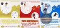 Traditional Immortal Fist & Wushu Force by Zhang Tienan & Masters 3-DVD Set