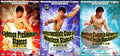 Whirlwind Nunchakus Actual Combat Mastery Series 3 DVDs Set by Wang Hongxin
