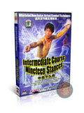 Whirlwind Nunchakus Combat Intermediate Nineteen Stances Wang Hongxin DVD