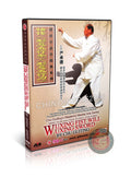 Xingyi Wuxing Fist and Five Elements Sword by Yan Chengde Chu Guiting DVD