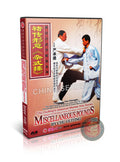 Xingyi Miscellaneous Pounds by Yan Chengde Chu Guiting Lineage Kung Fu DVD