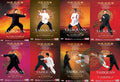 Authentic Hong Style Taijiquan 81 Forms & Combat by Li Zhujun 8 DVDs Set