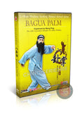 Wudang Bagua Palm Internal Kung Fu Training by Master Wang Ping 2DVD Guide