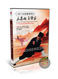 Dragon Gate Tai Chi 37 Forms and Jade Flute Style by Master Li Fajun Kung Fu 2DVD