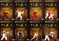Yang Style Tai Chi Complete Mastery Series by Fu Shengyuan 20 DVDs Box Set