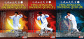 Dacheng Quan Complete Mastery Series by Feng Hongcan 3 DVDs Box Set Collection