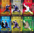 Chen Style Taijiquan Theory System Mastery by Chen Zhenglei 14 DVDs Box Set