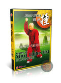 Xinyi Liuhe Fist Four Fists Si Ba Chui by Master Hu Xiuqun Kung Fu DVD Guide