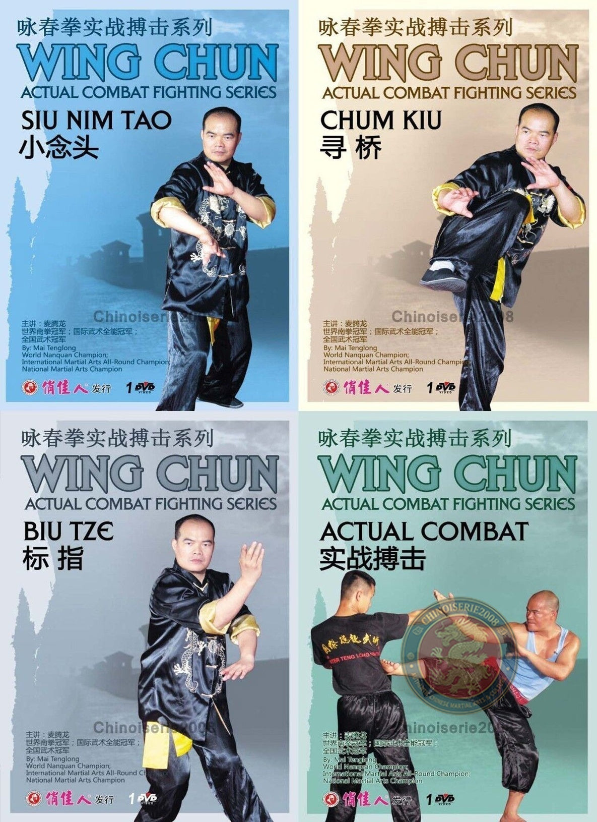 Wing Chun Kung Fu Complete Mastery Series by Mai Tenglong 4 DVDs Box Set DVD