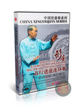 Xingyi Five Elements Interlink Fist Forward & Backward by Zhang Jianping DVD