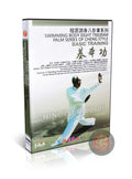 Cheng Style Swimming Body Baguazhang Basic Training by Master Sun Zhijun DVD