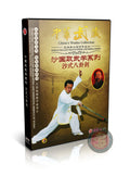 Sha Style Bagua Continuous Sword Routine by Master Li Bin Training 2DVD Guide